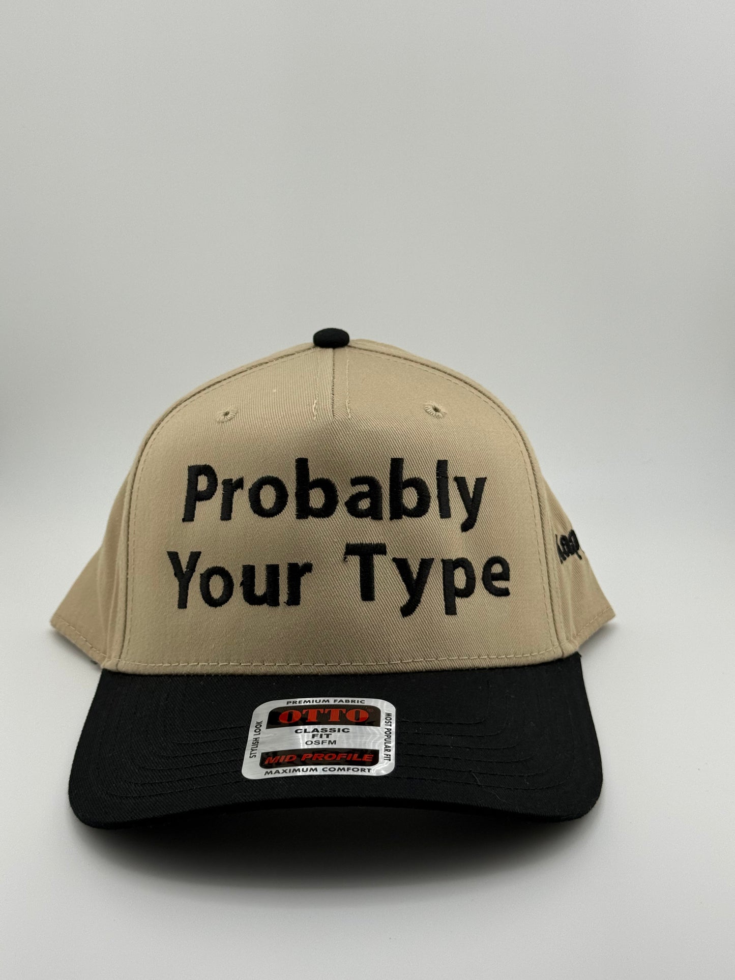 Probably Your Type Embroidered Hat