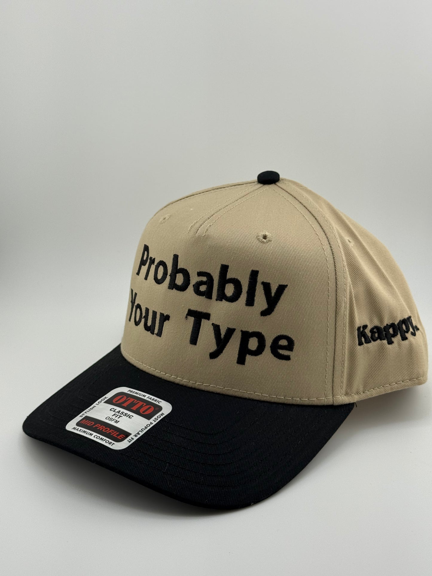 Probably Your Type Embroidered Hat