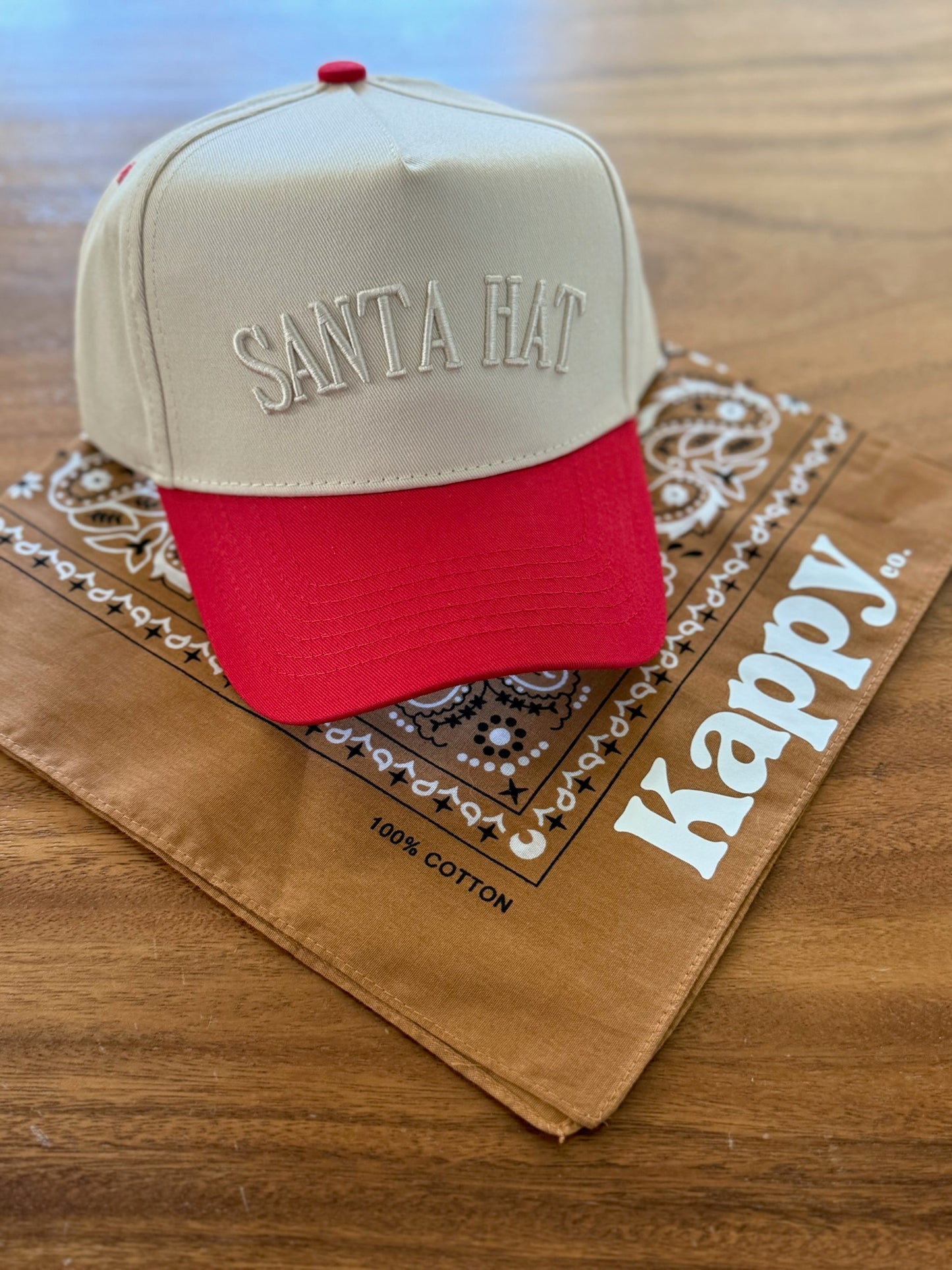 Santa Hat - 3D Embroidered Hat Style