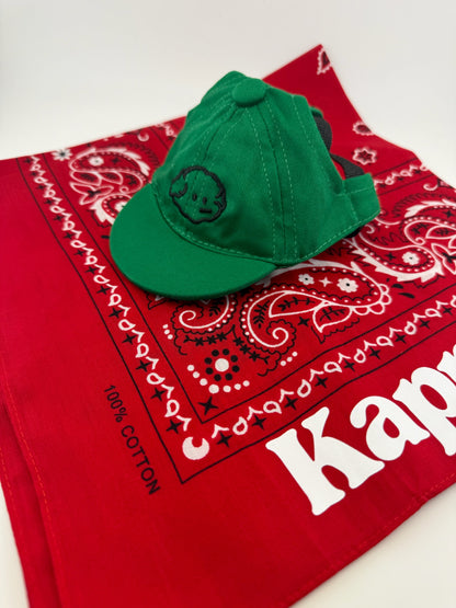 Dog & Cat & Pet Hats