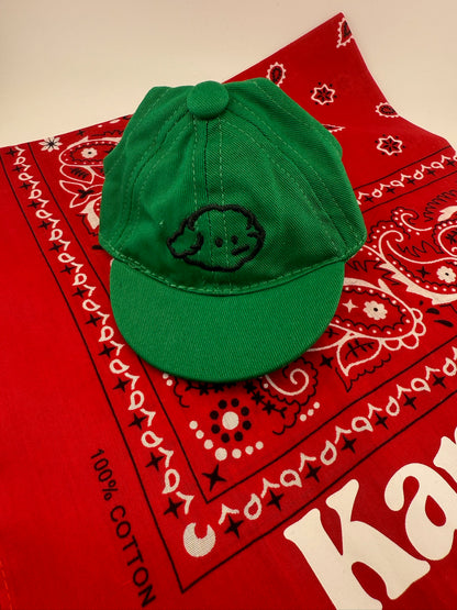 Dog & Cat & Pet Hats