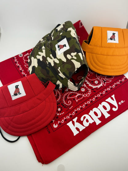 Dog & Cat & Pet Hats