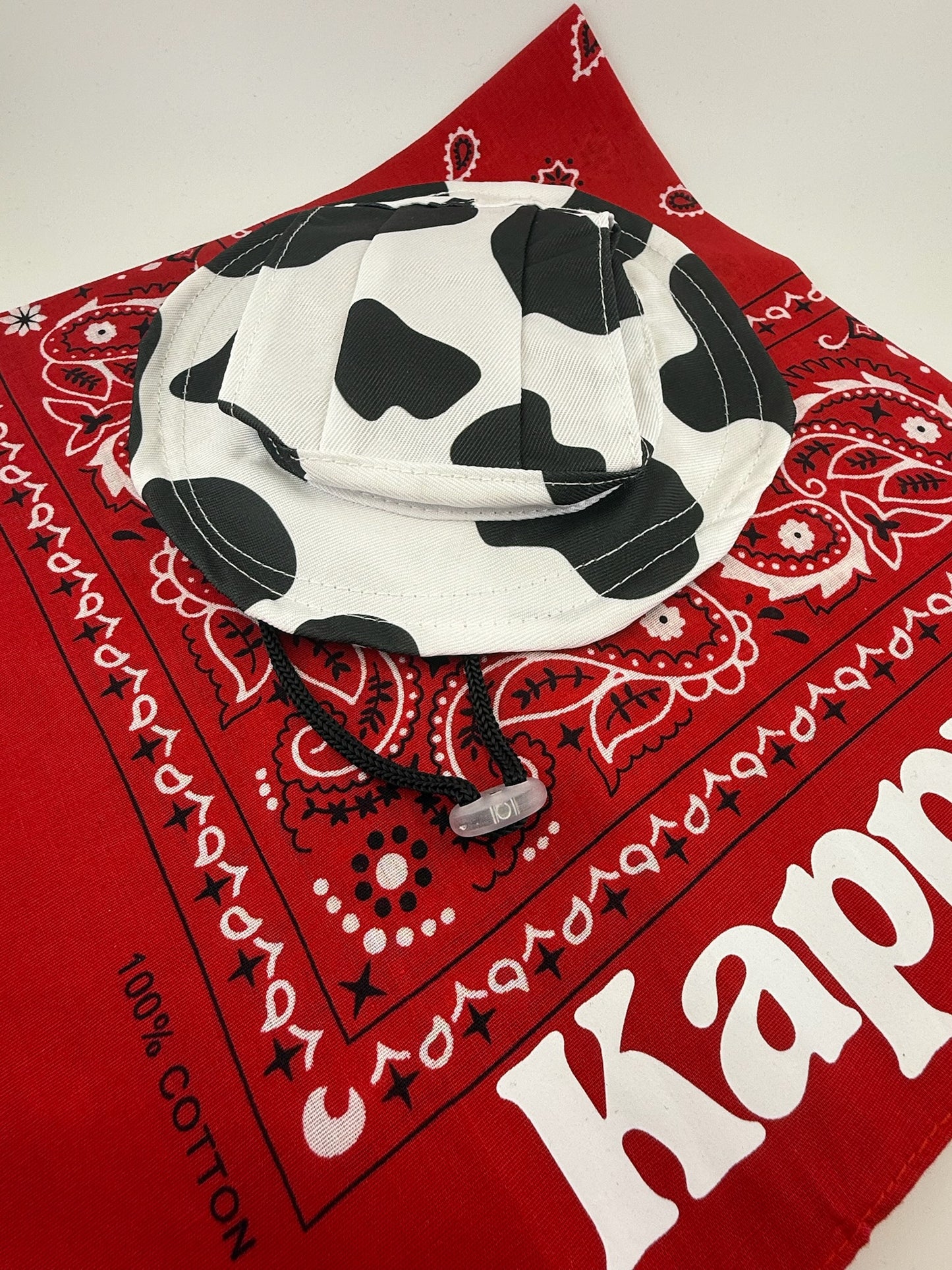 Dog & Cat & Pet Hats