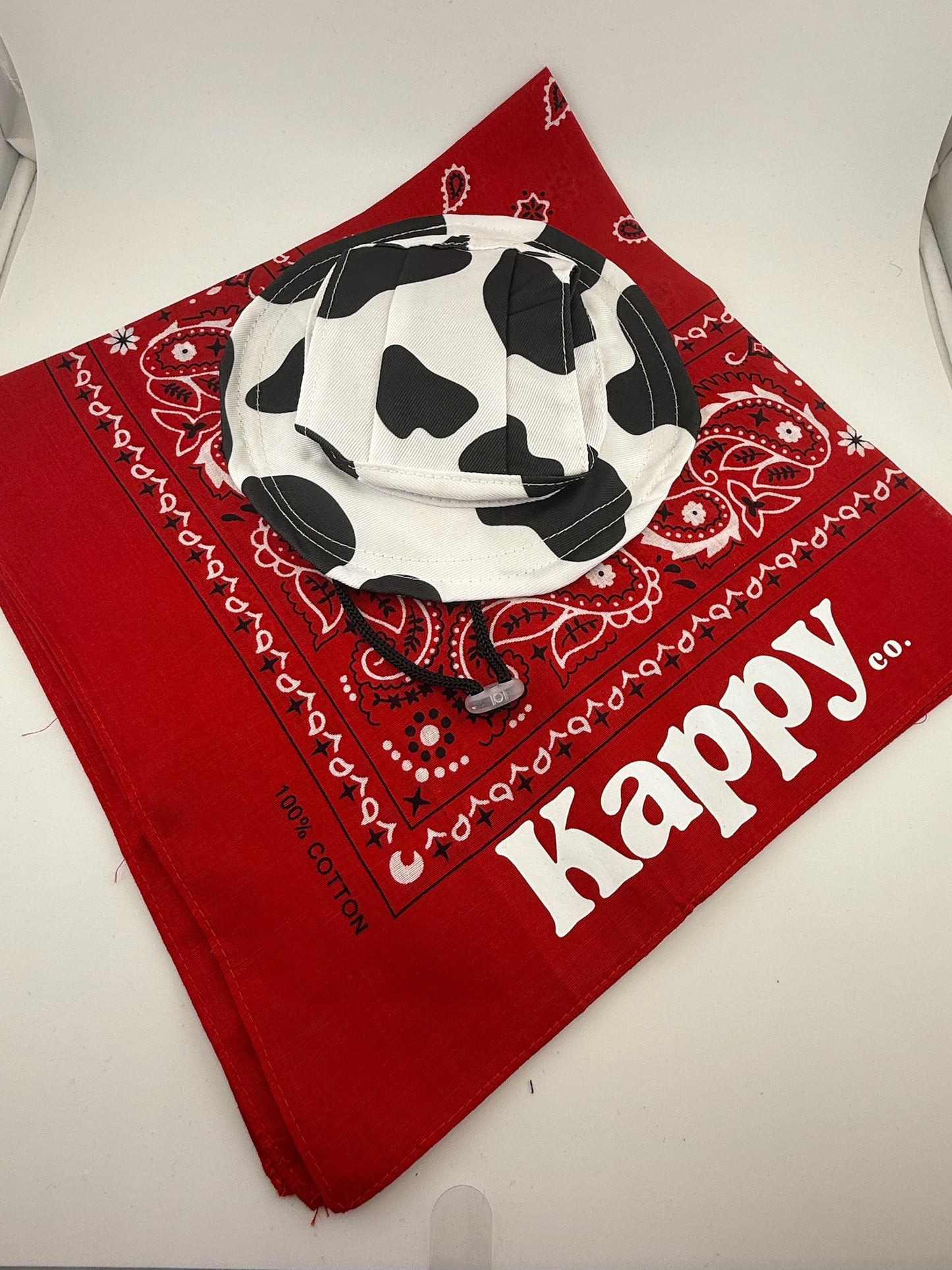 Dog & Cat & Pet Hats