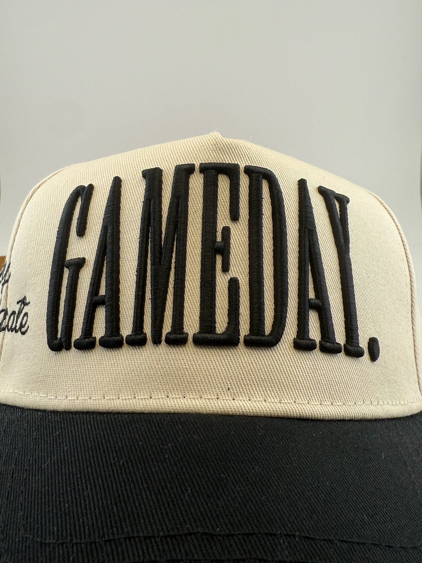 Gameday. Not My First Tailgate - 3D Embroidered Hat