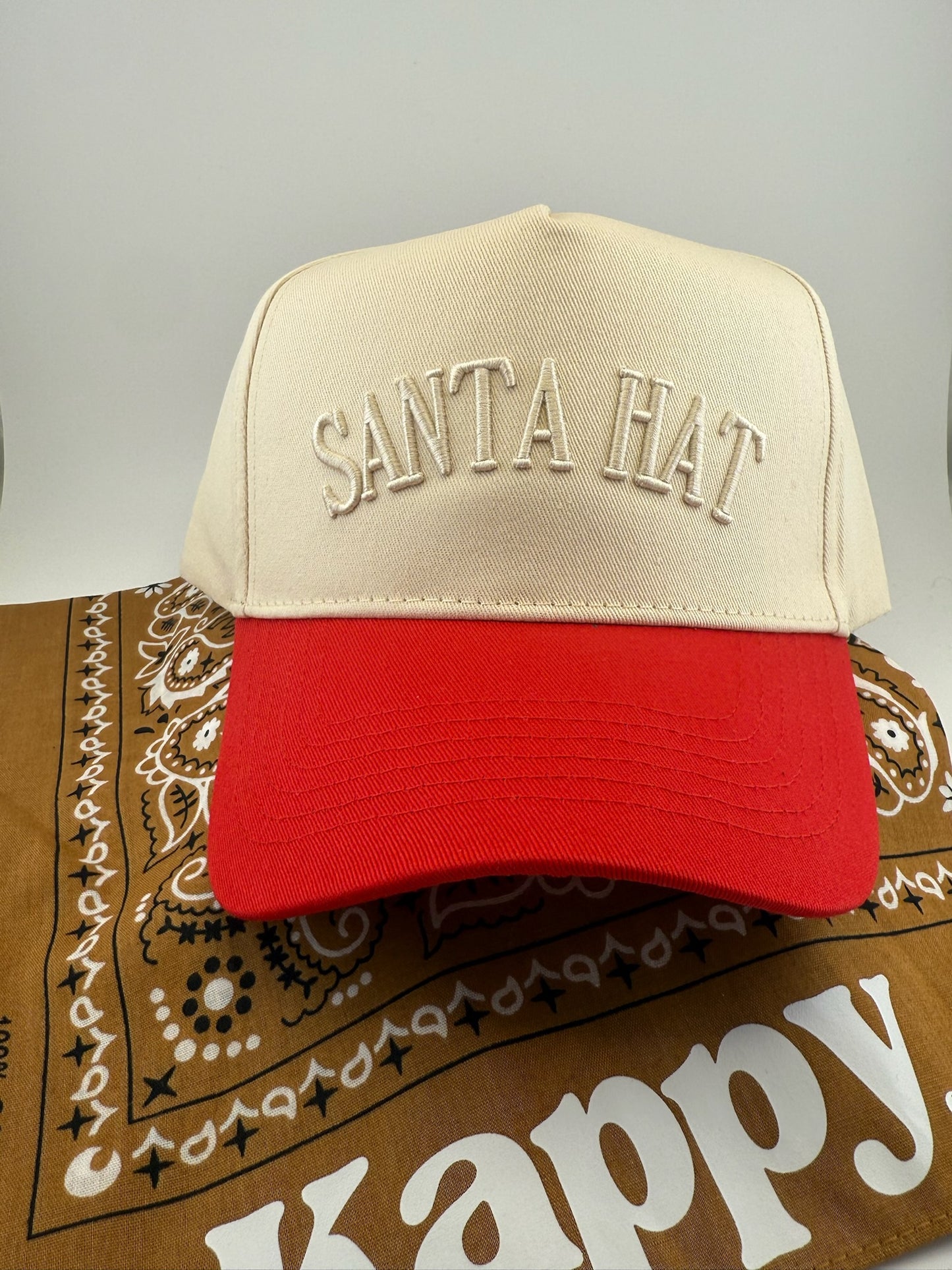 Santa Hat - 3D Embroidered Hat Style